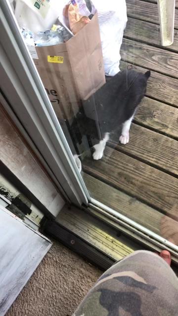 @Cathycatscreations