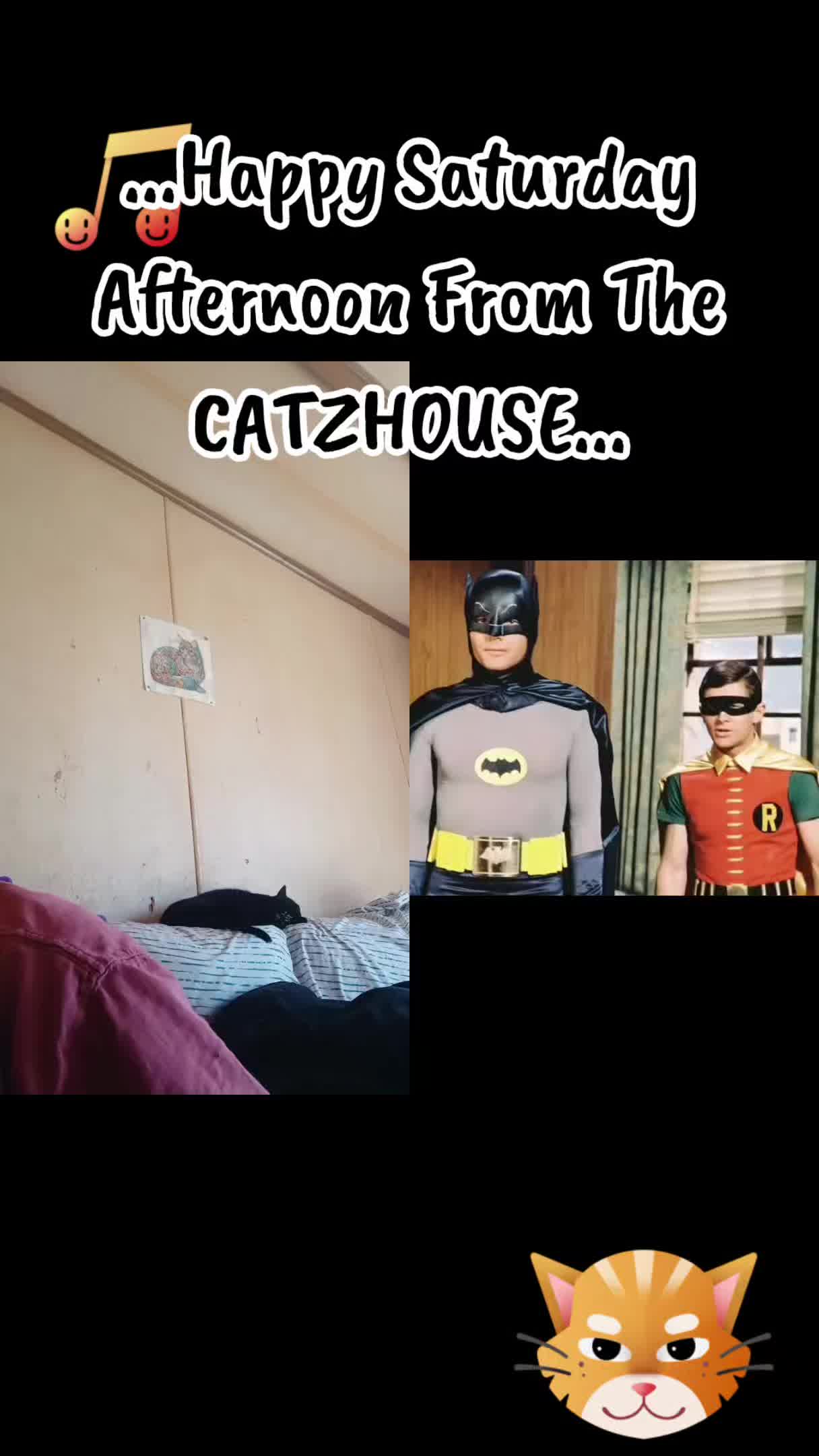 @Booh Hovey crazycatlady3