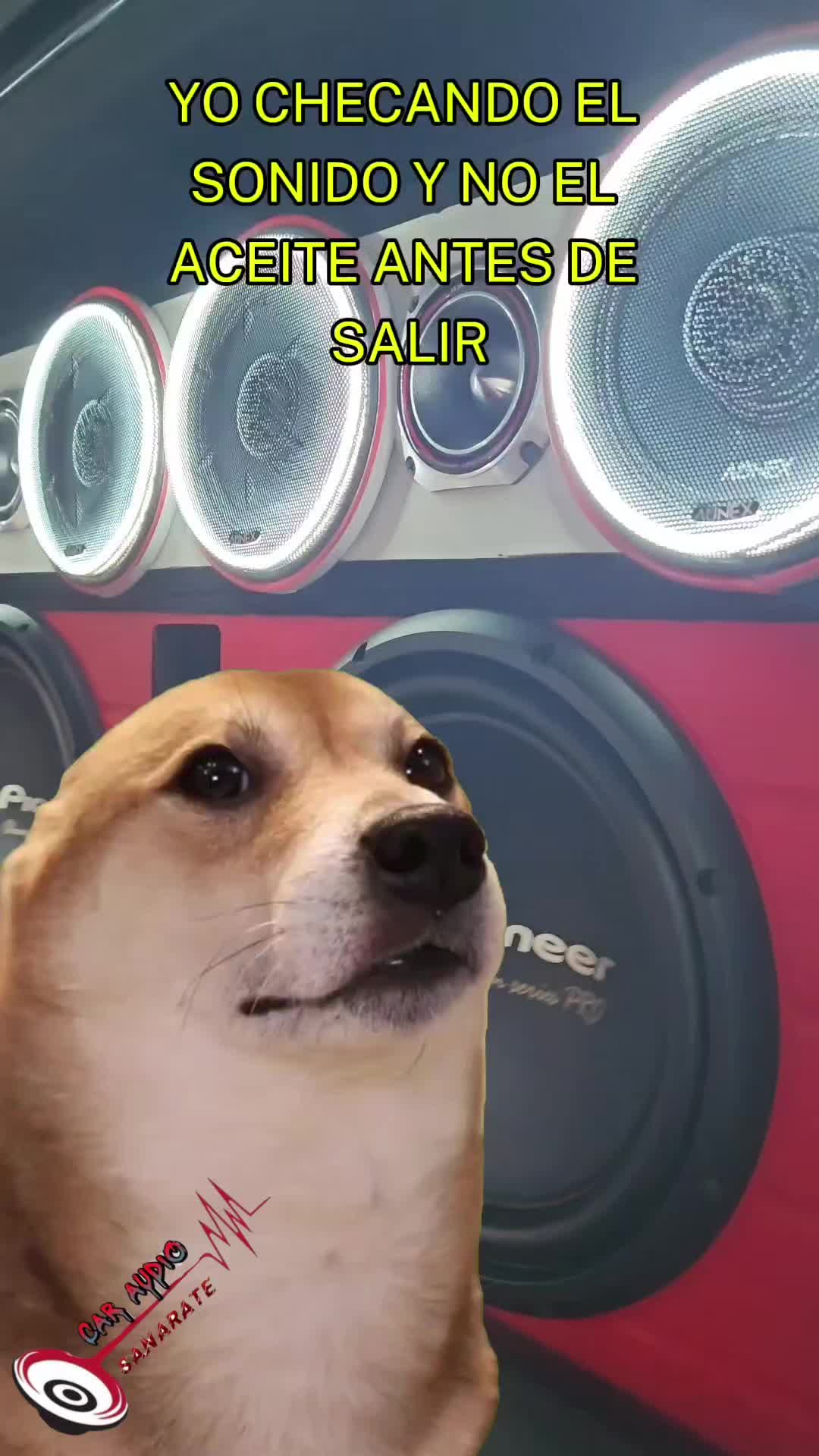@caraudioSANARATE