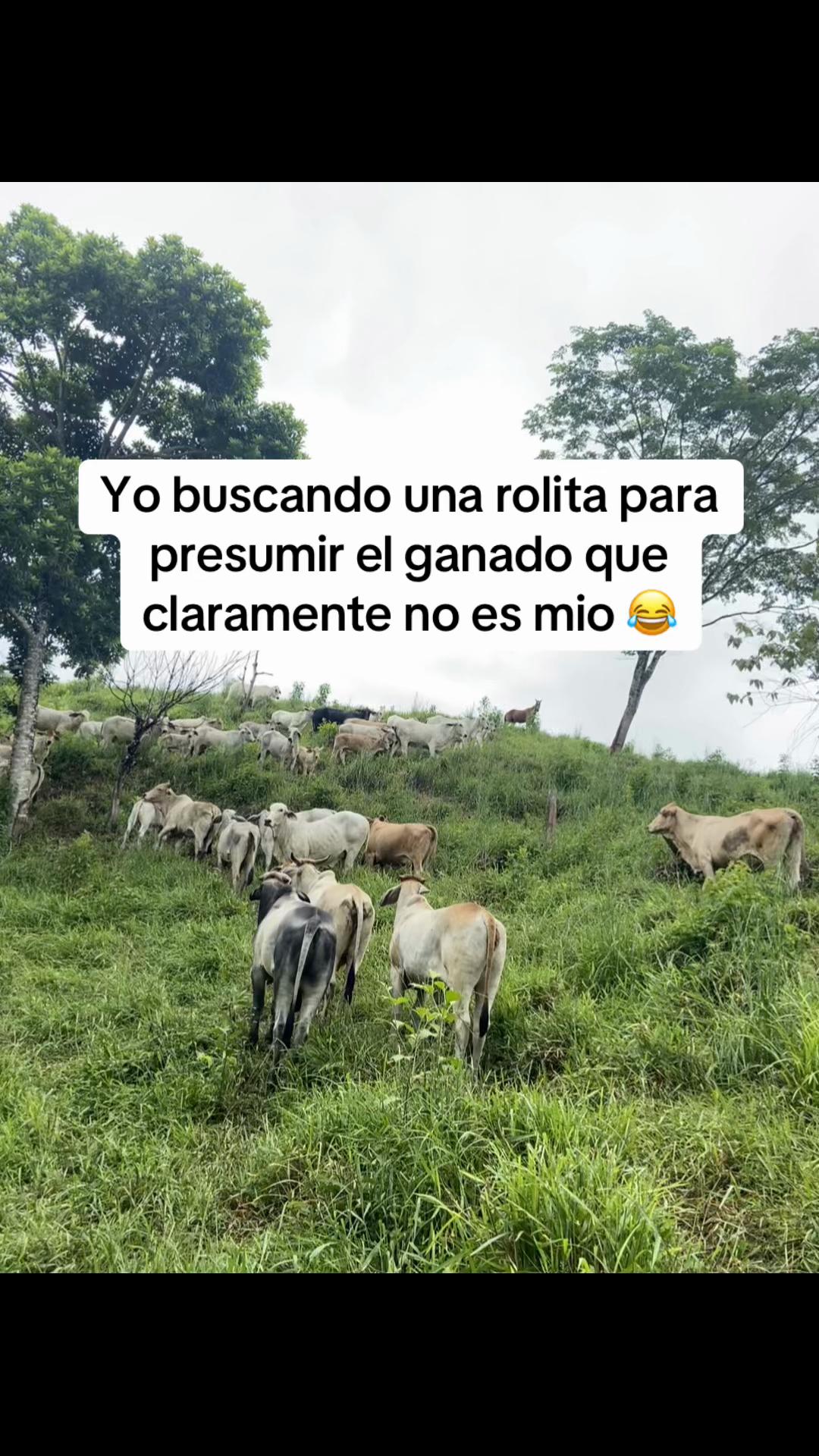 @❣️Reitos💋🧸