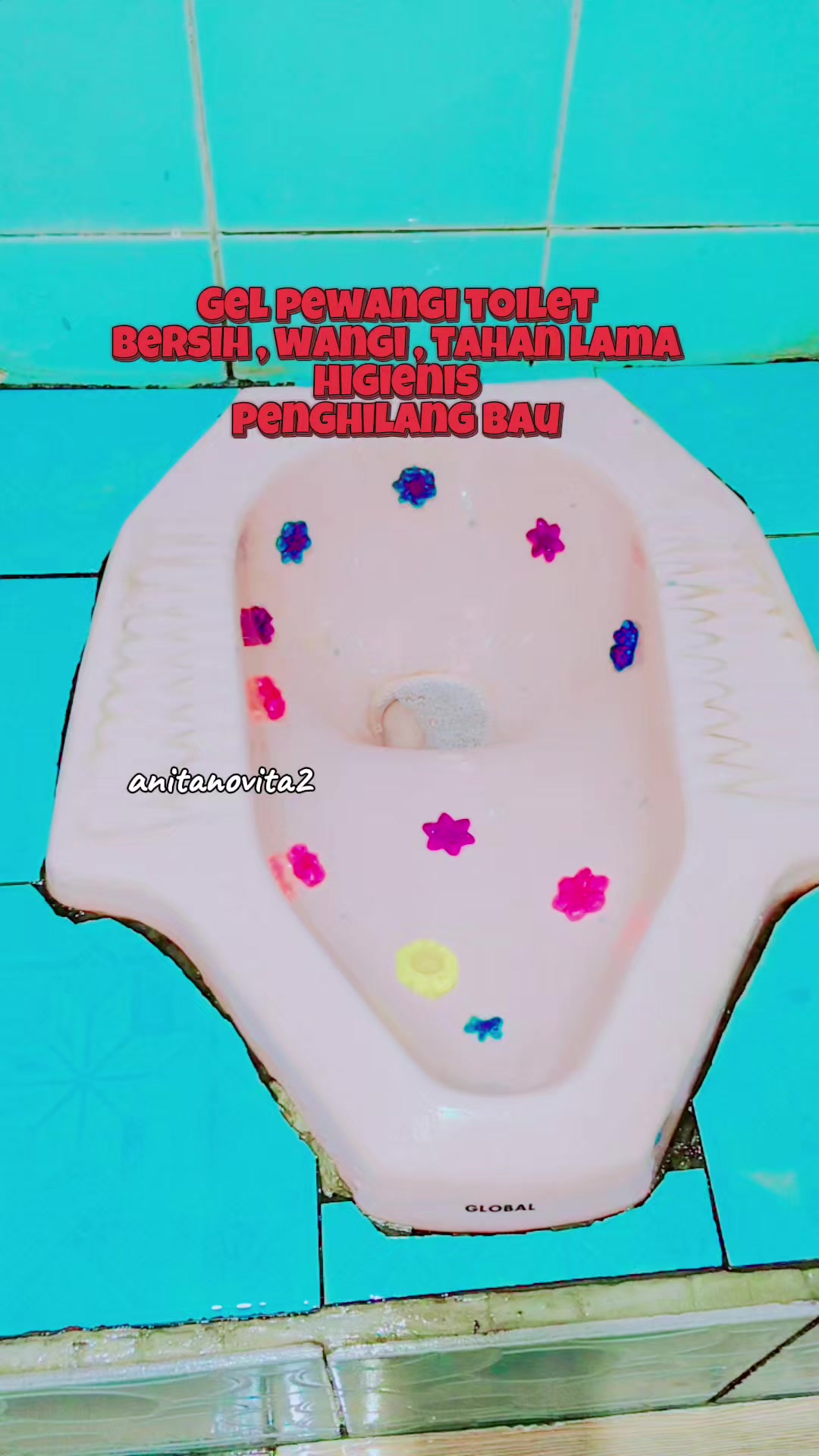 @anita novita