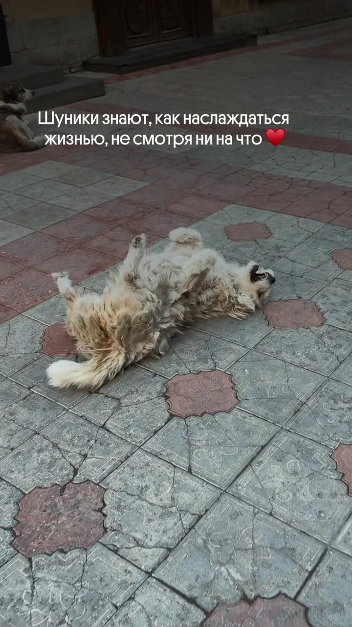 @Барев дзез, я Настя