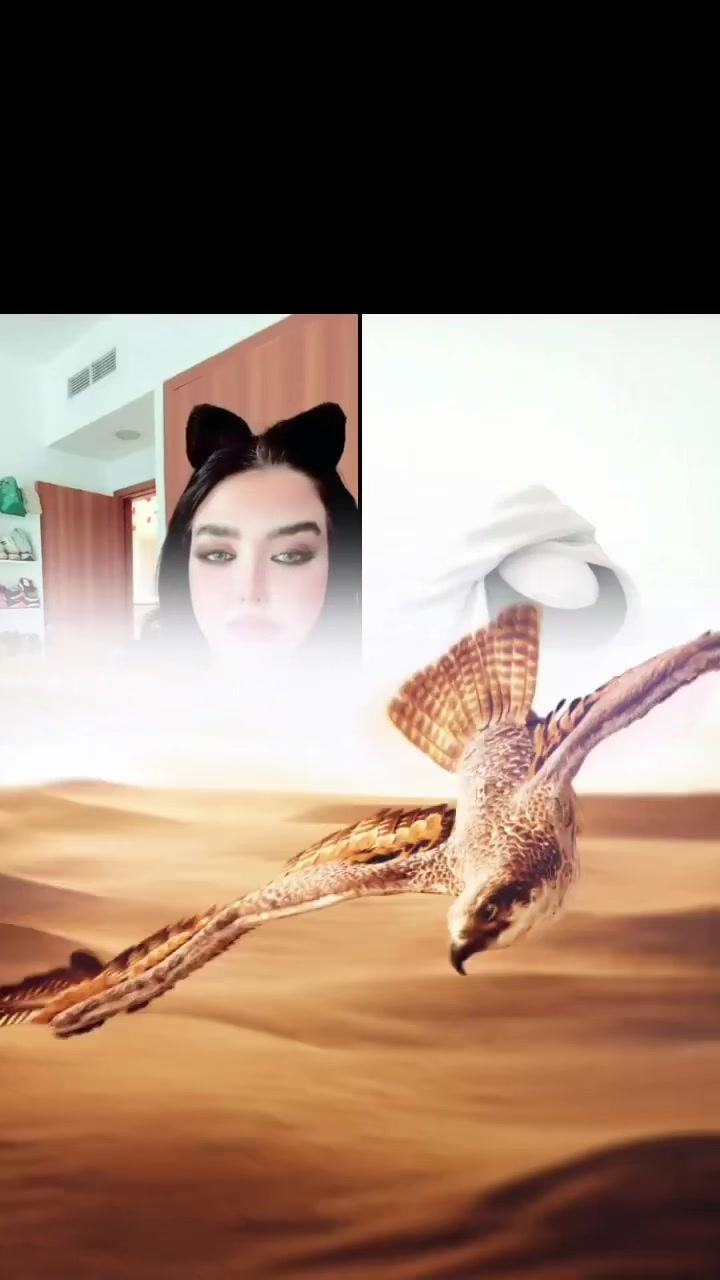 @Sheikha.mimi🐅