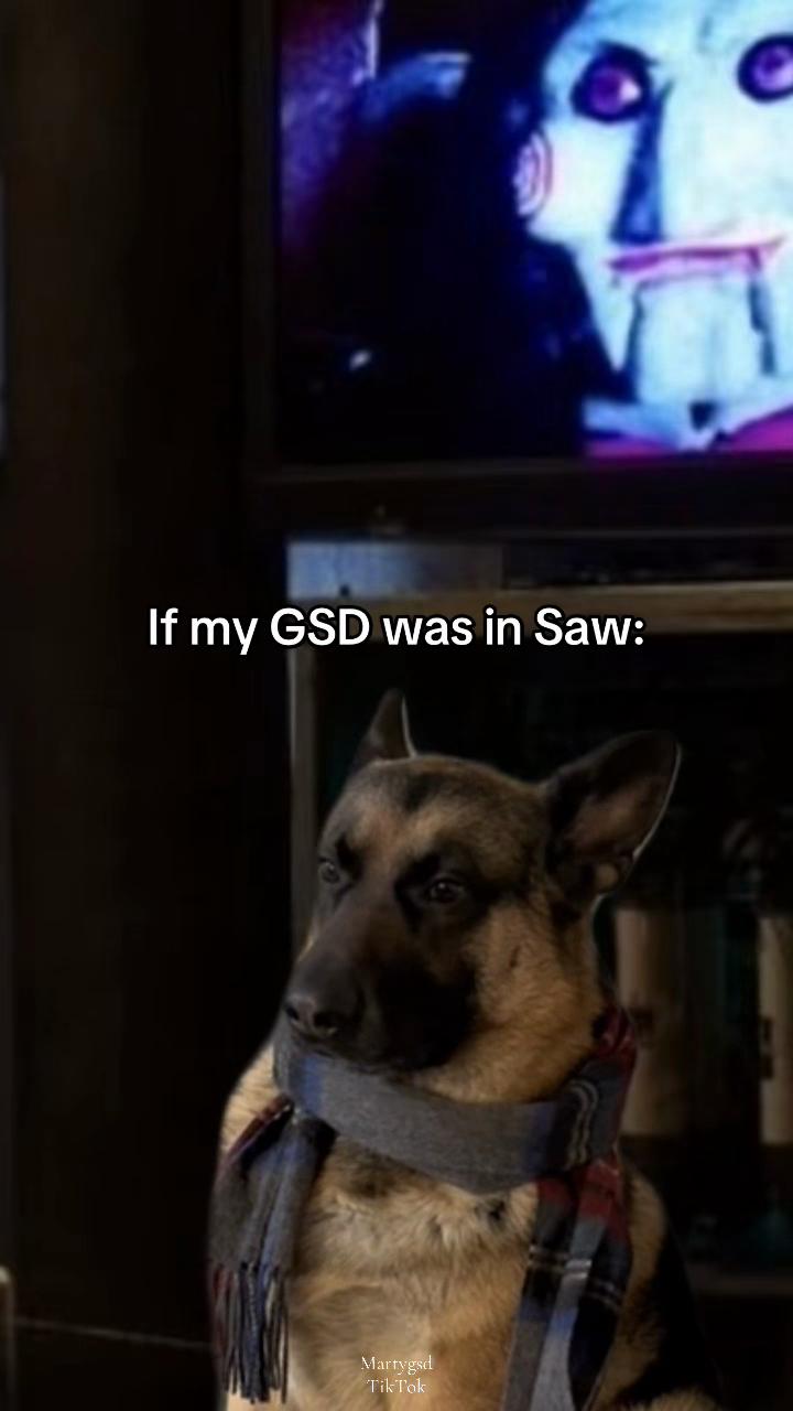 @Martygsd