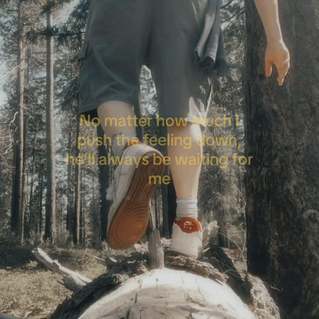 @𐂯lyric🦈