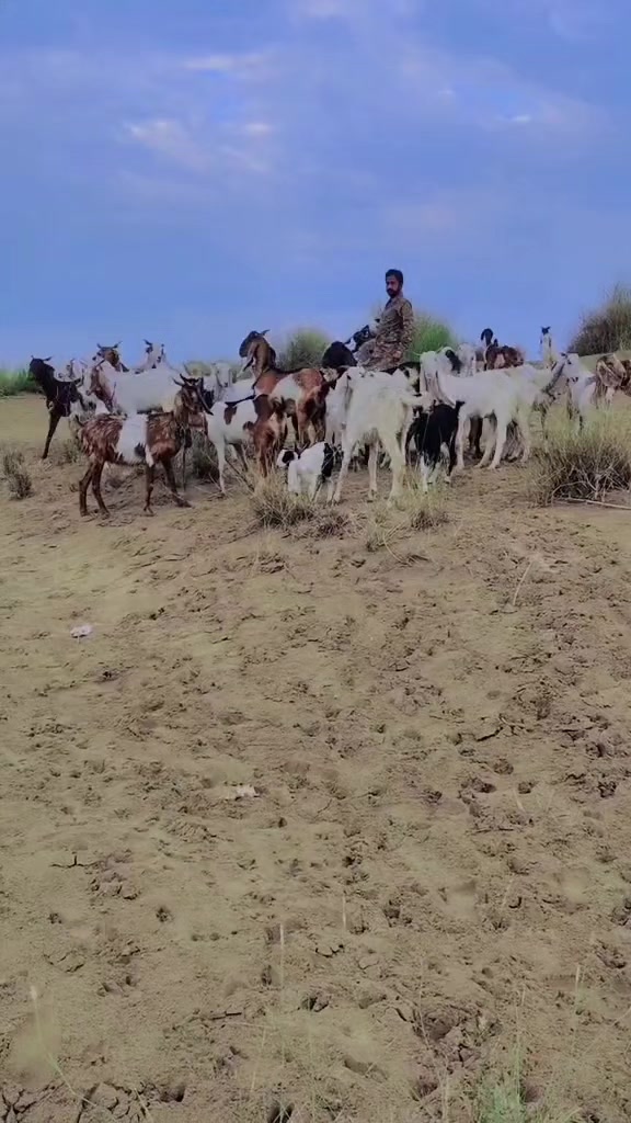 @Ahmed-baloch-787
