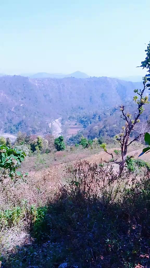 @Jishan Bhat