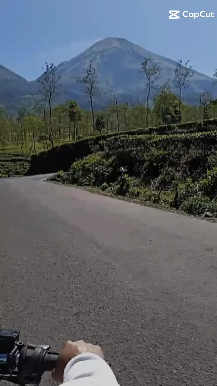 @irvannuri276