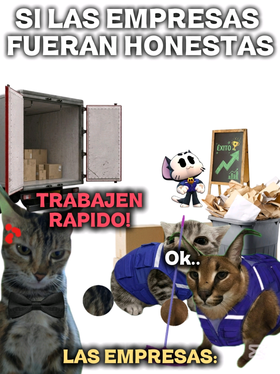 @TIGRITO EN MEMES