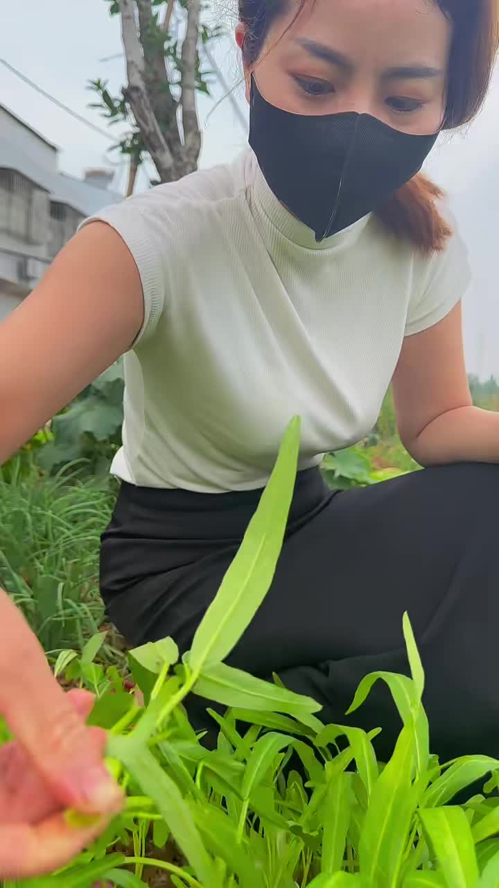 @MB999222