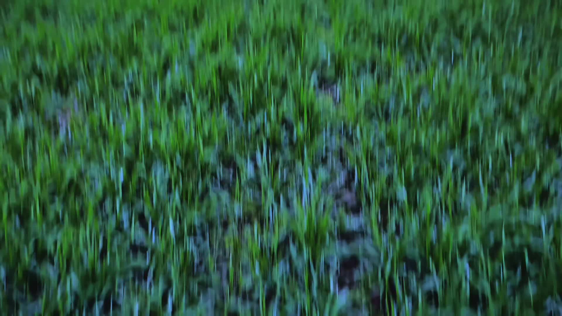 @๐๐๐๐๐๐๐