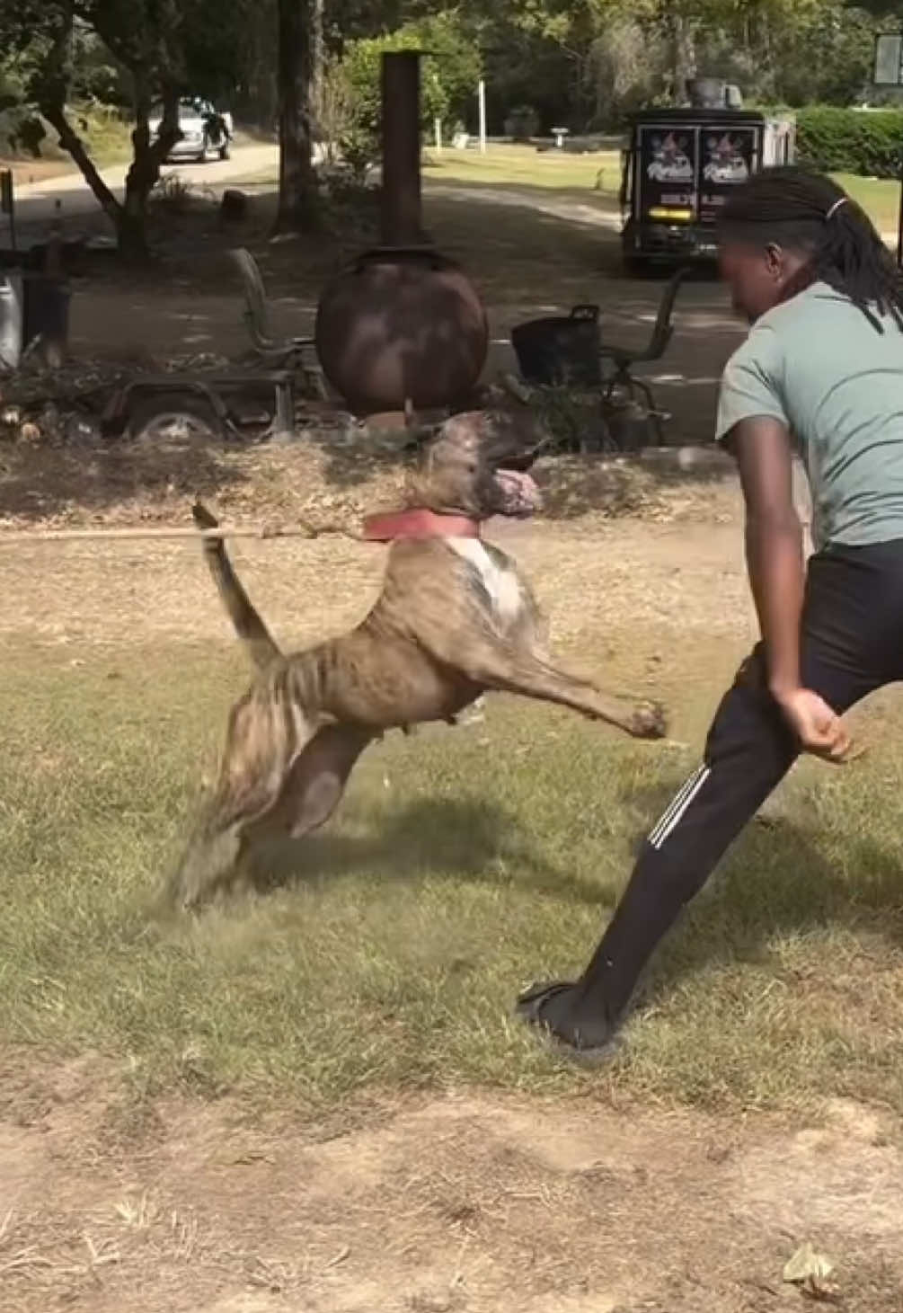 @KVNG KENNELS