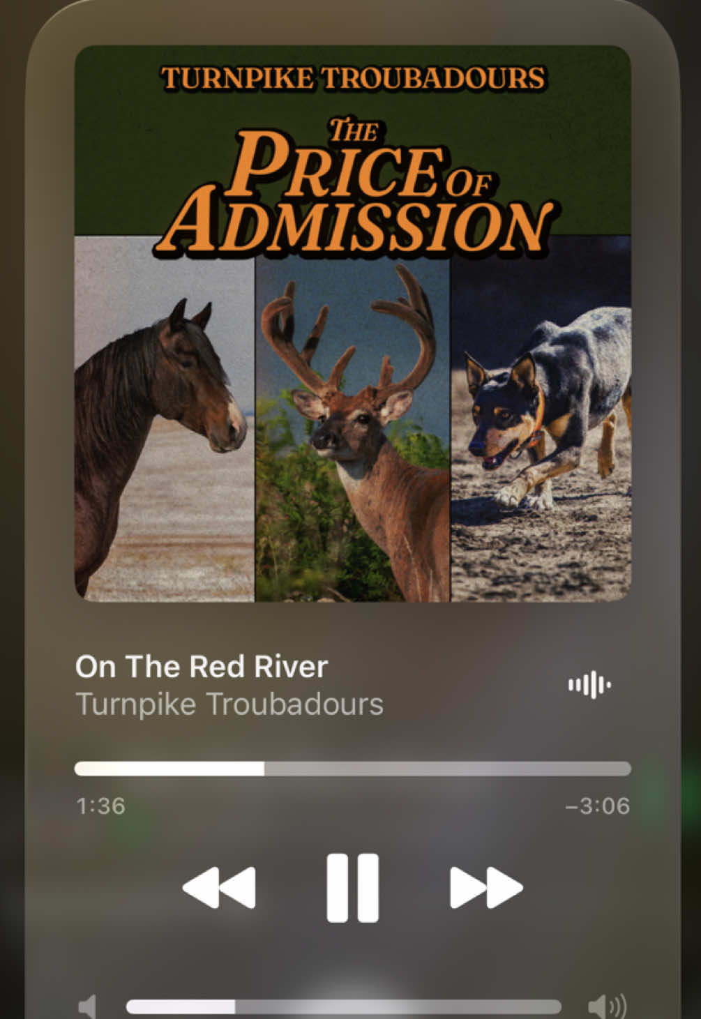 @Song of the day