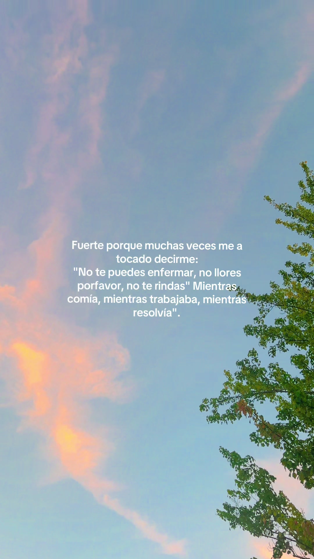 @“Voces del Eco”