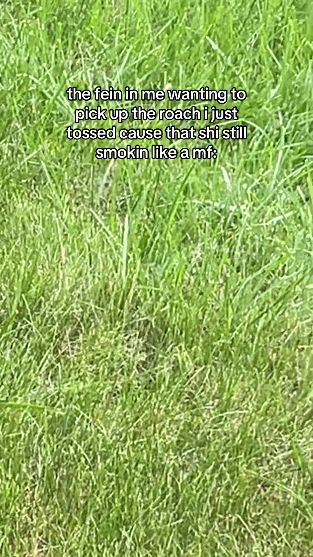 @damnhowmanymfsondisbtch