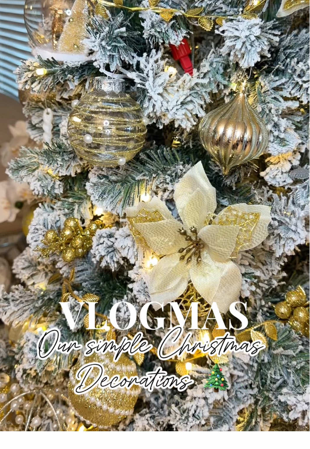@Legna Fernandez