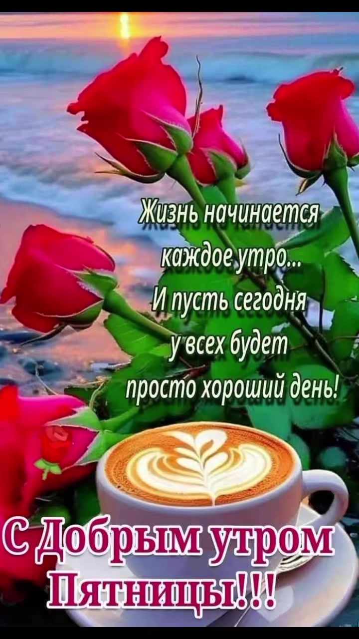 @user28678600881
