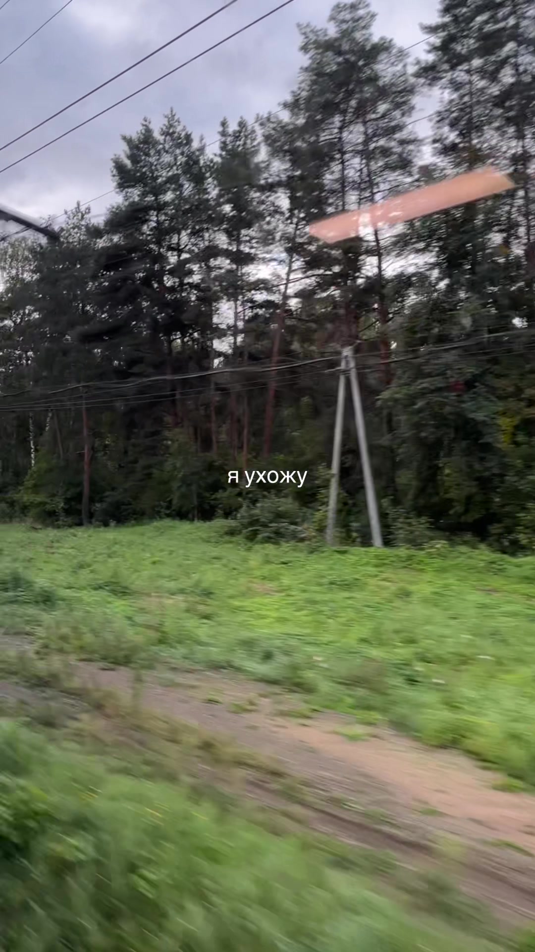 @лайфстайл веронички