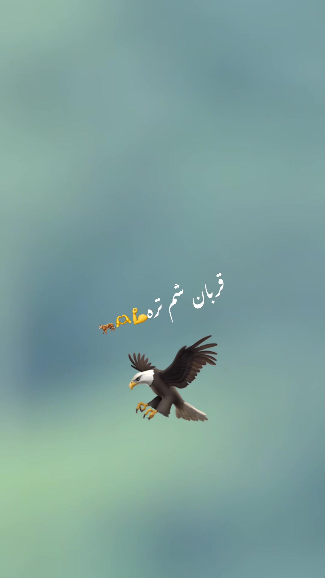 @M.I.K🩺✍️🫀