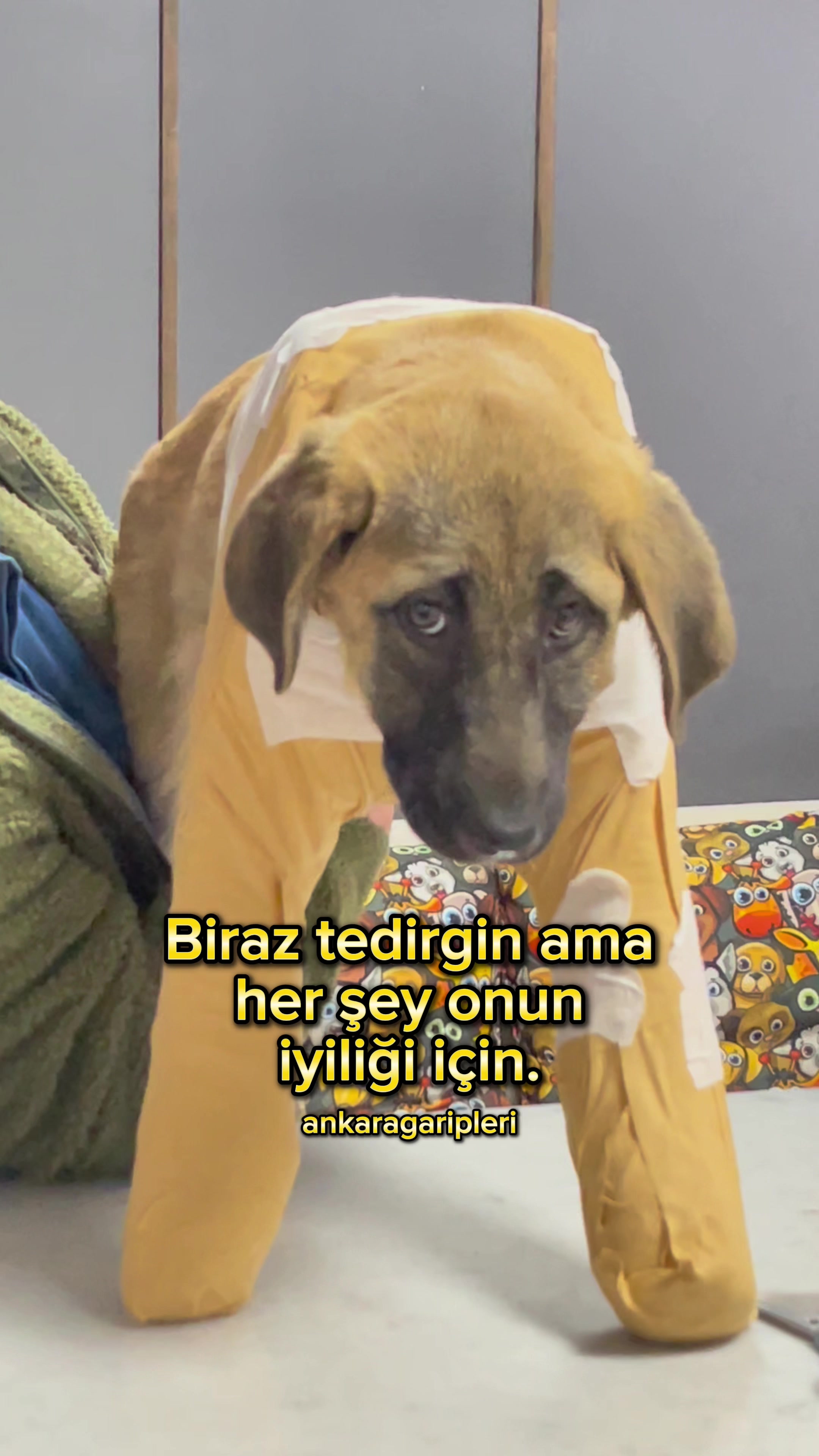 @Asiye