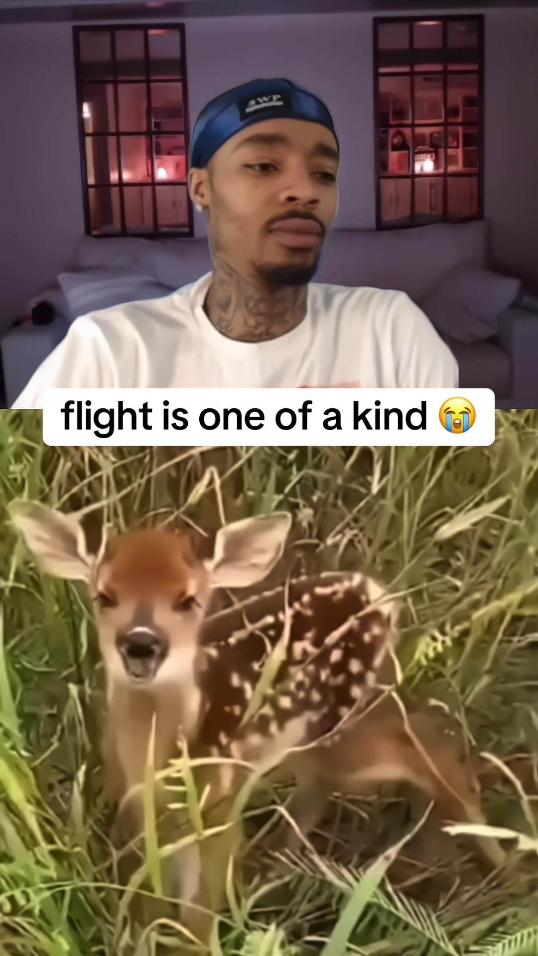 @plugandclips
