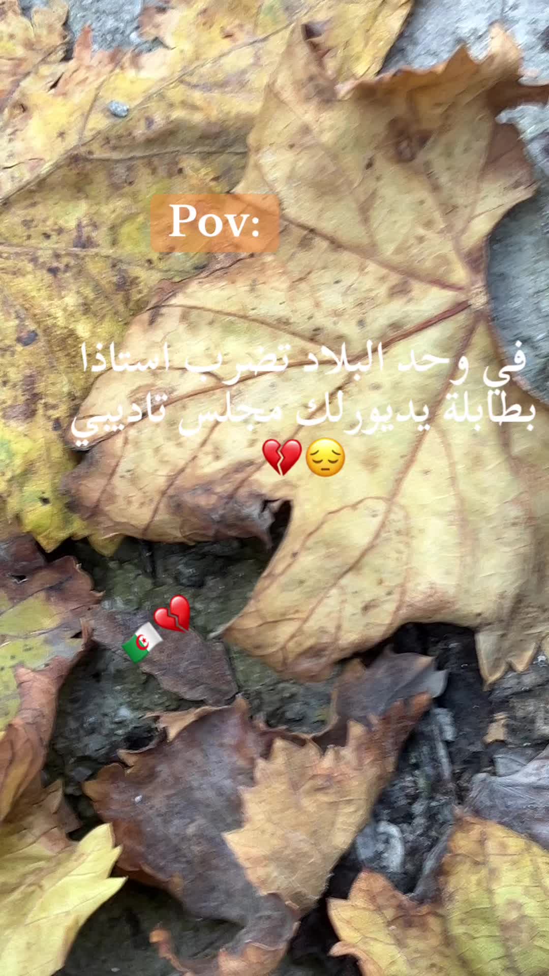 @Mouutaz Mouutaz