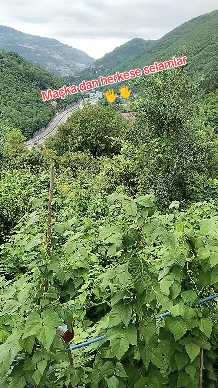 @🌹MAÇKALI🌹FATOŞ🌹