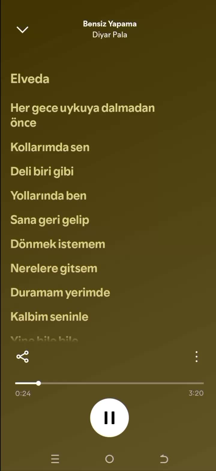 @pro müzik