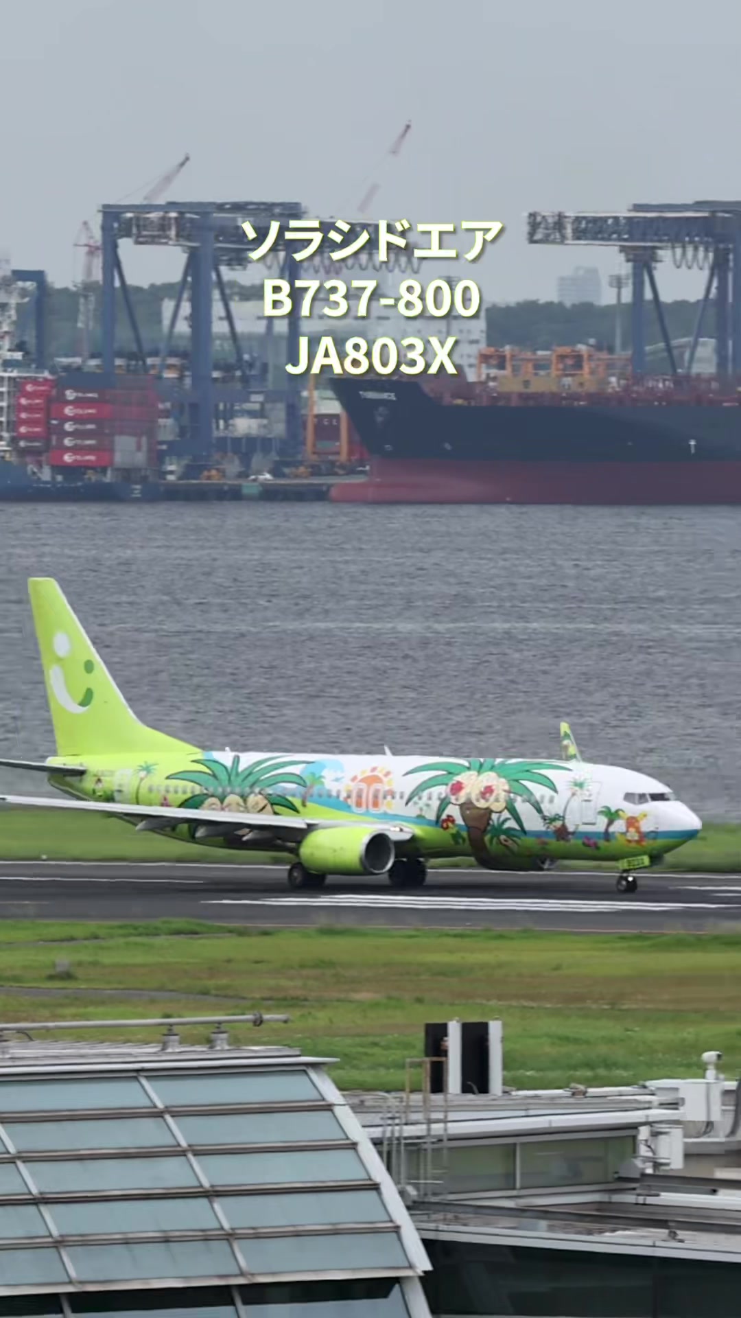 @Skyline だ〜はね|Haneda Airport ✈️