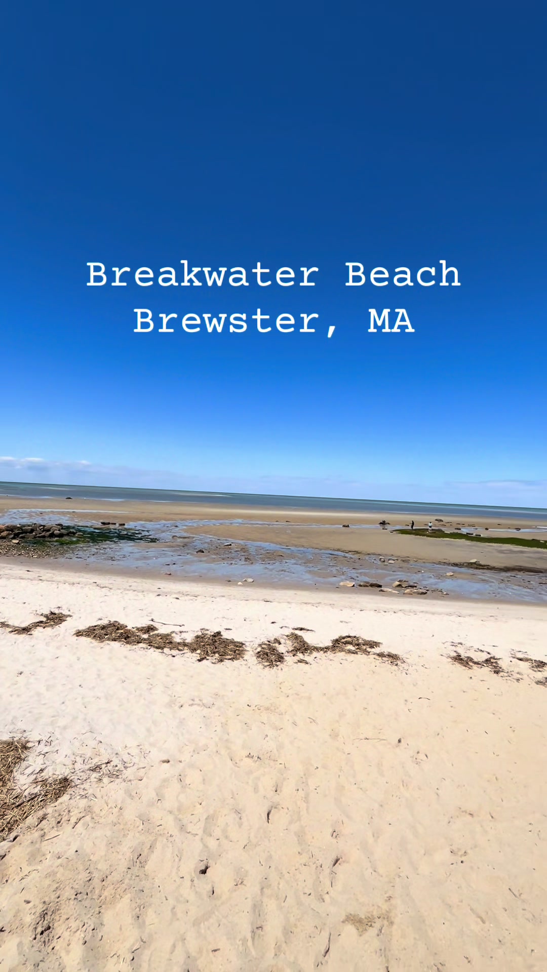 @CapeCodBeachLife
