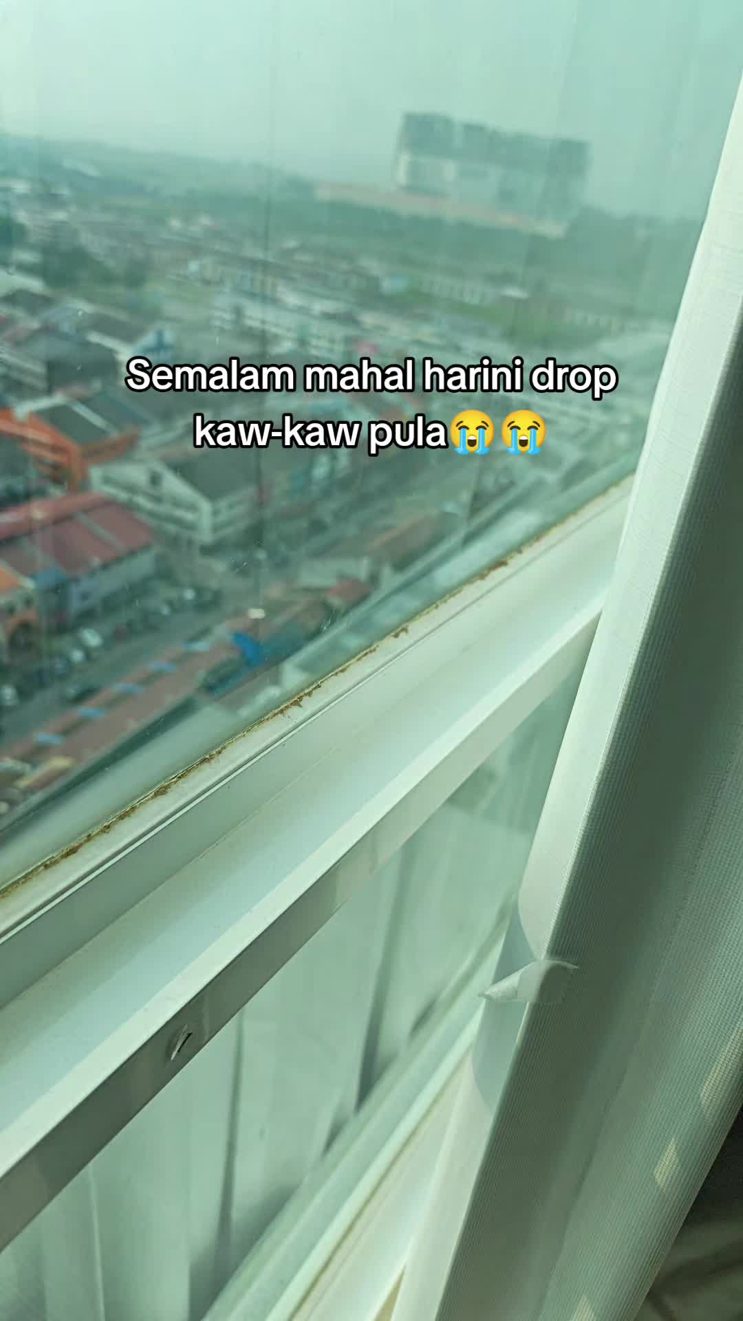 @Diary Jannah