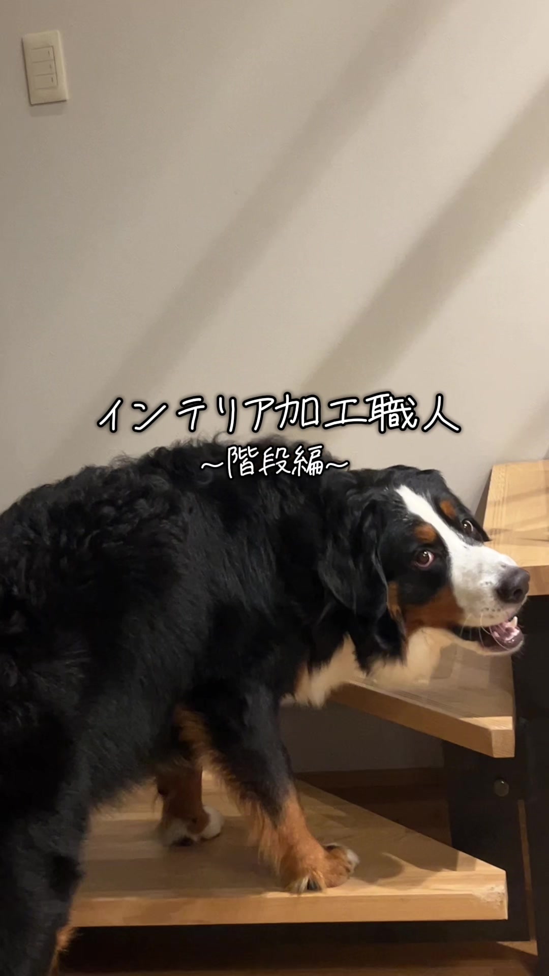 @å¯å£«å±±ð¶ð»ããŒããŒãºããŠã³ãã³ããã° - Fujisan