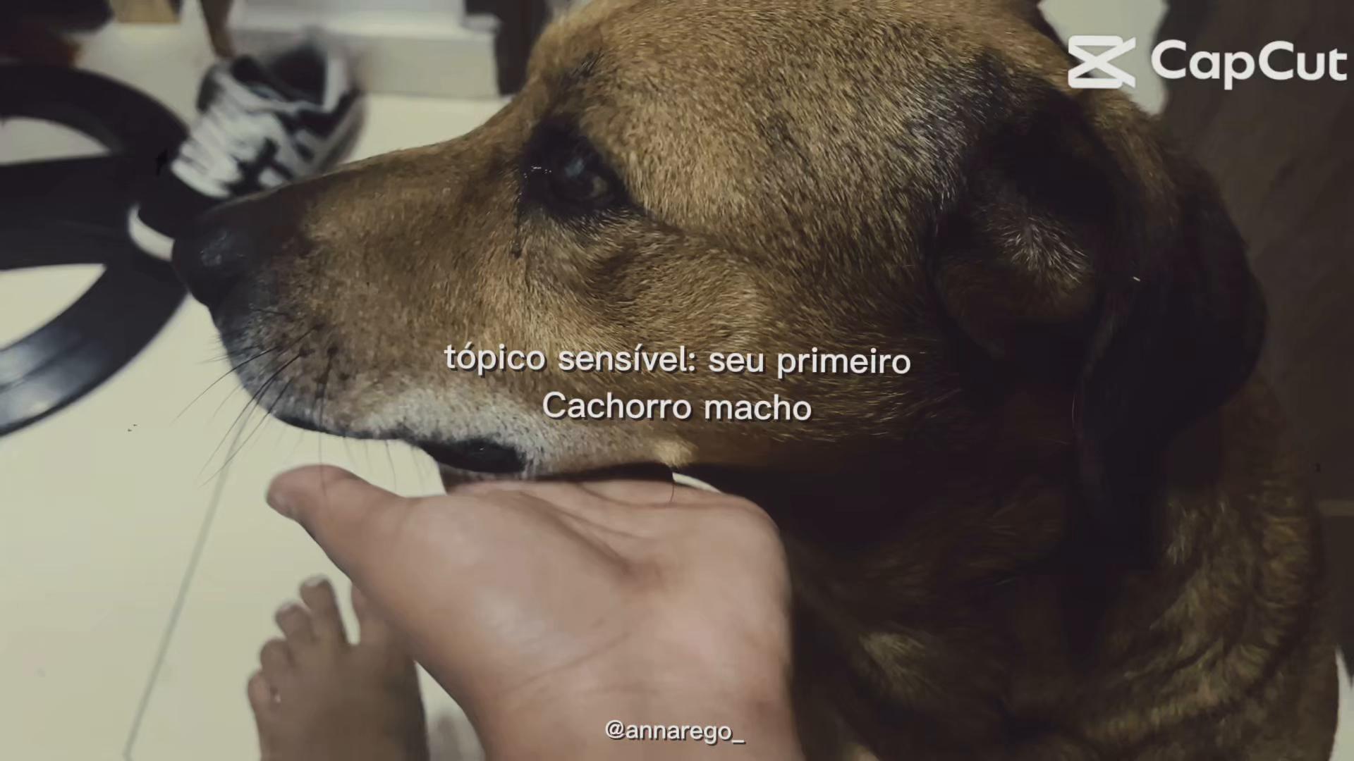 @𝑱𝑼́𝑳𝑰𝑨🐆