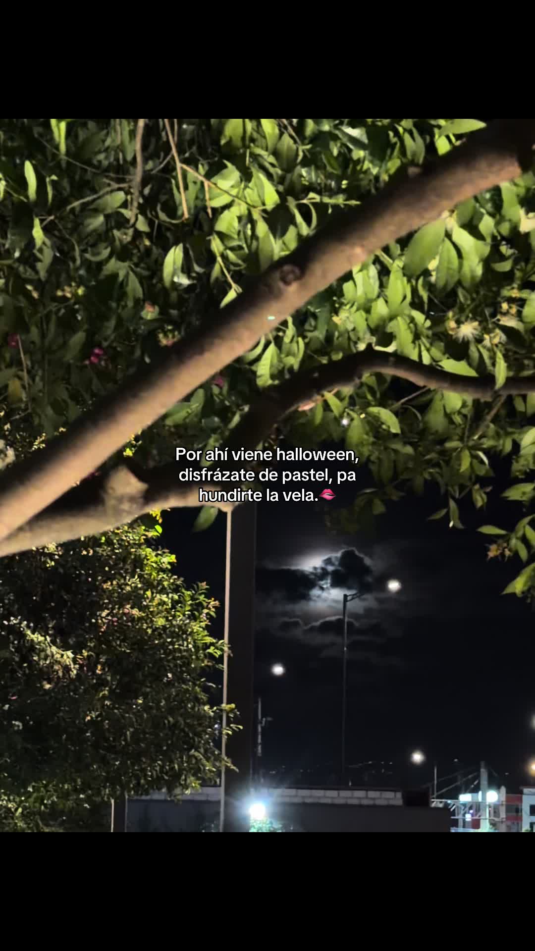 @Flix.170🥤