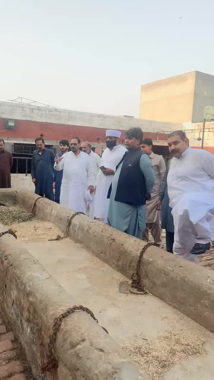 @چودری شوکت گجر قصور