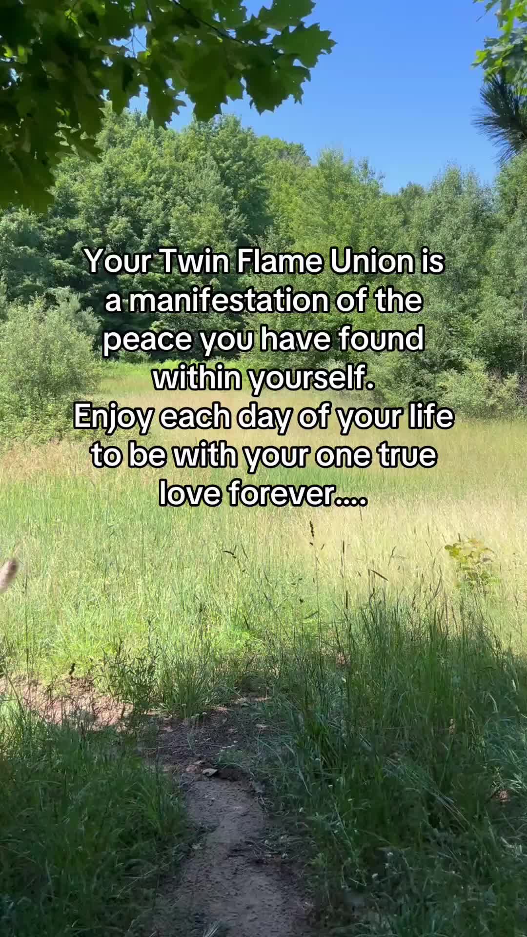 @Twin Flames Universe