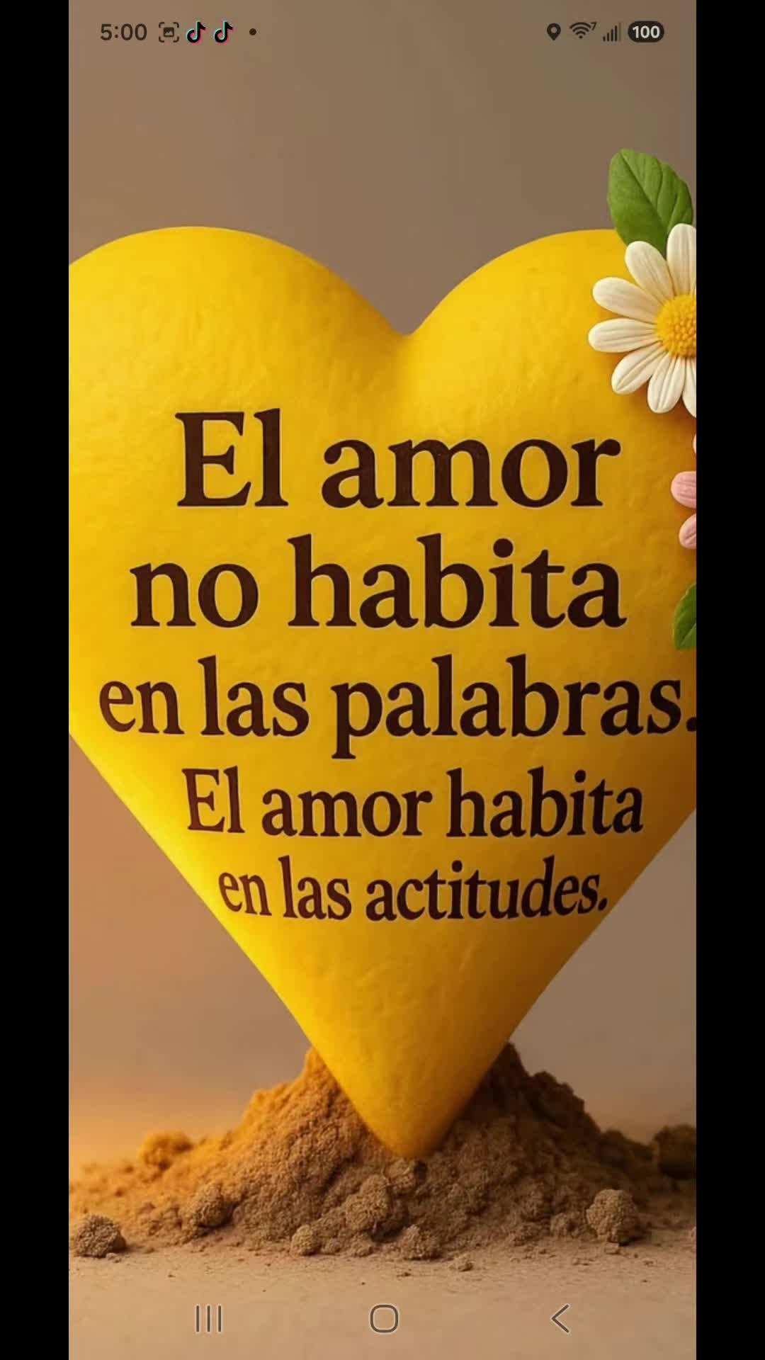 @Maribel 🌻