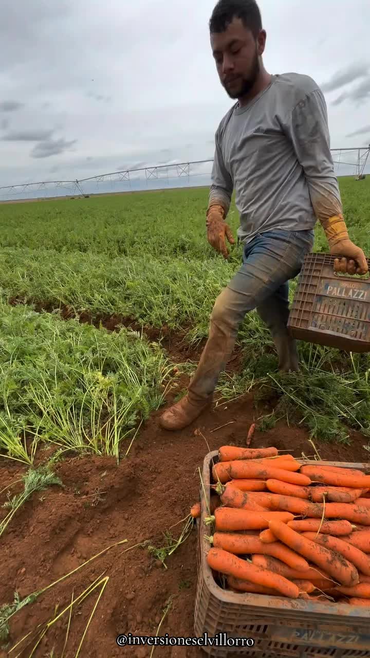 @inversioneselvillorro