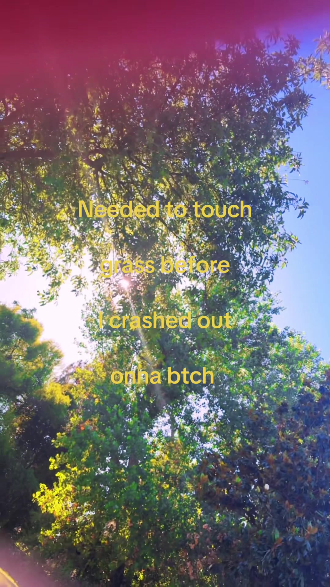 @🌷
