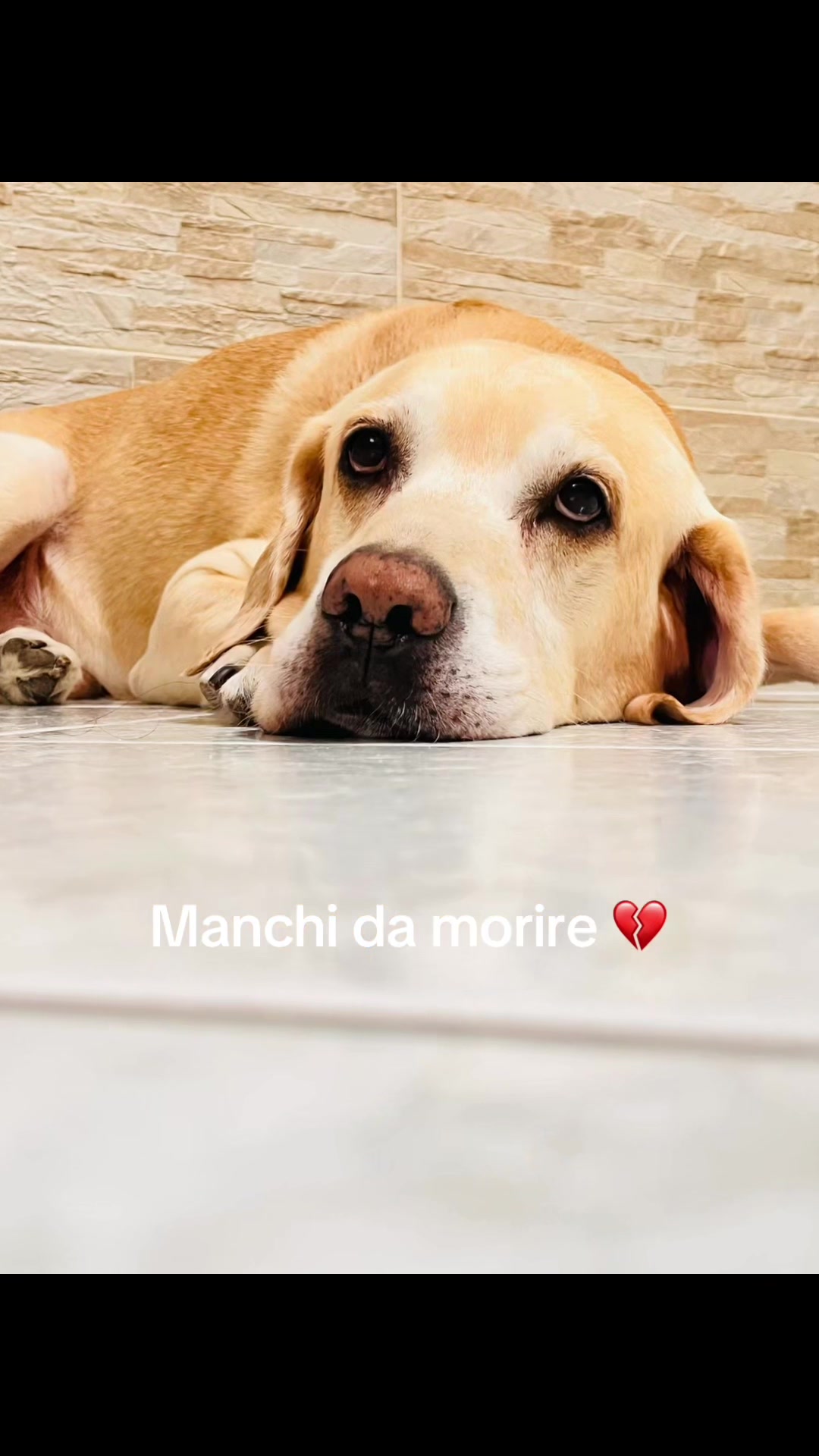 @Matilde79