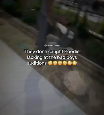 @🤭