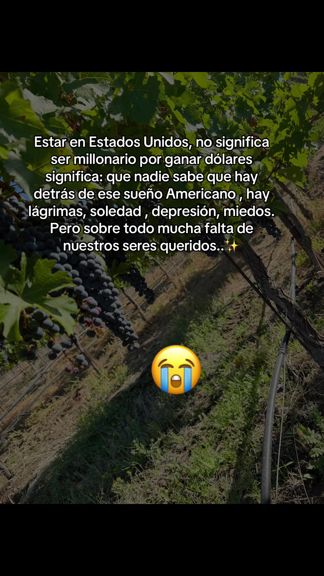 @Sandra Santiago