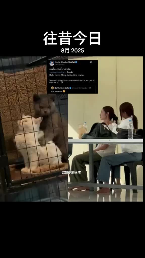 @微醺小熊猫🐼