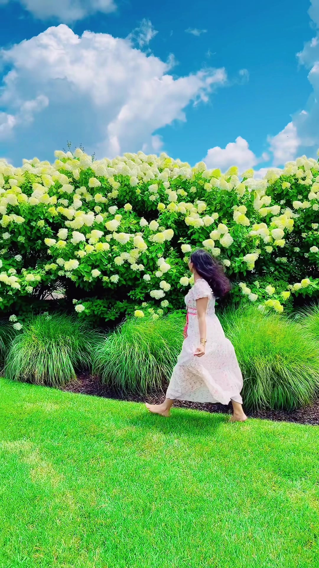 @🕊️