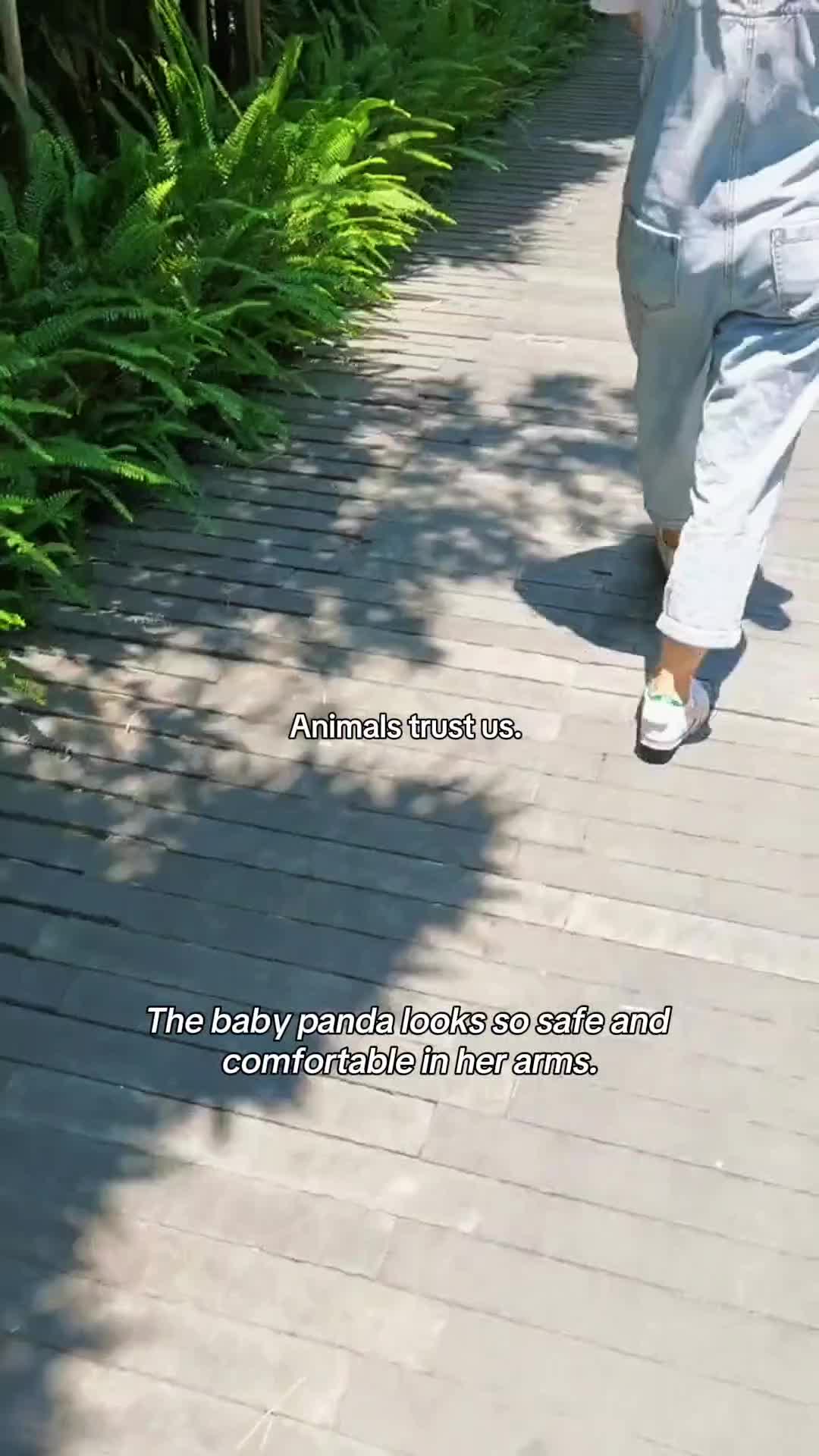 @WildwonderzZzz