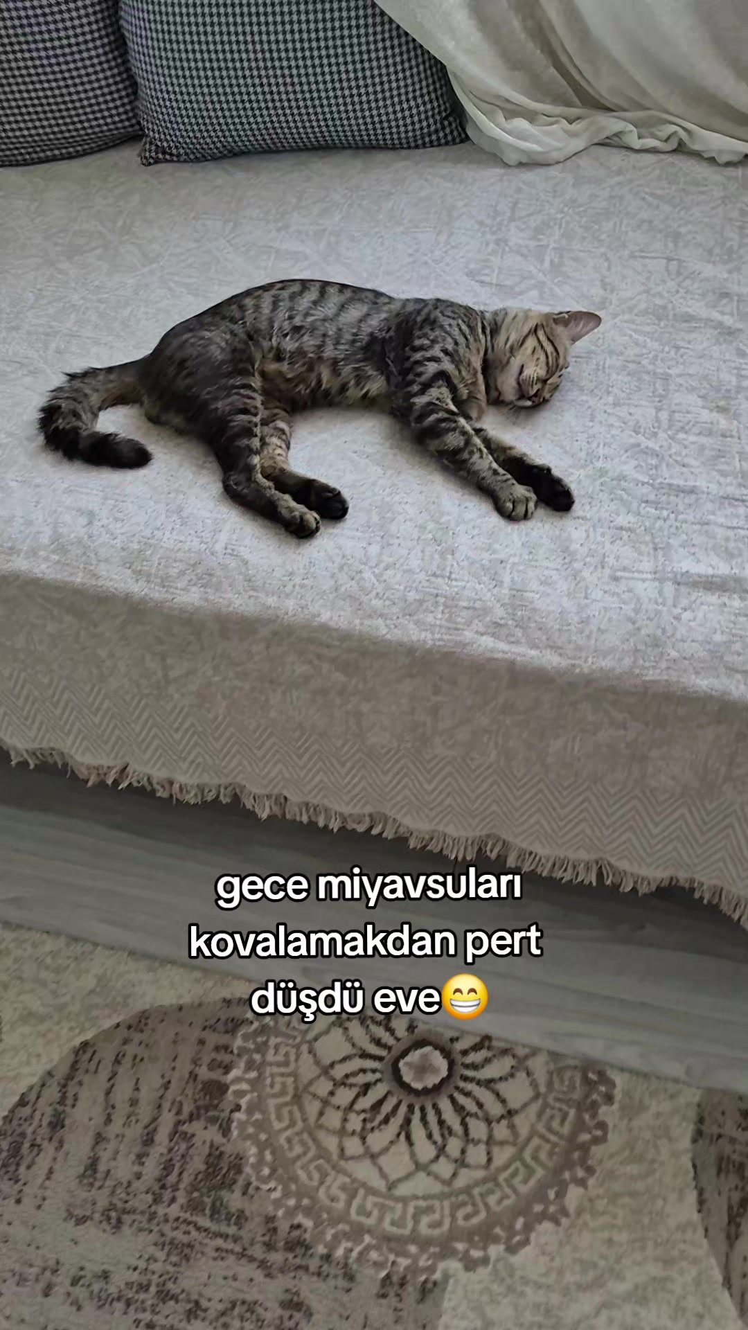 @kuzey