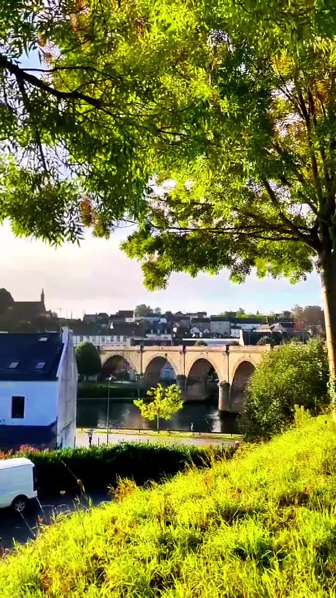 @Neeli🥇