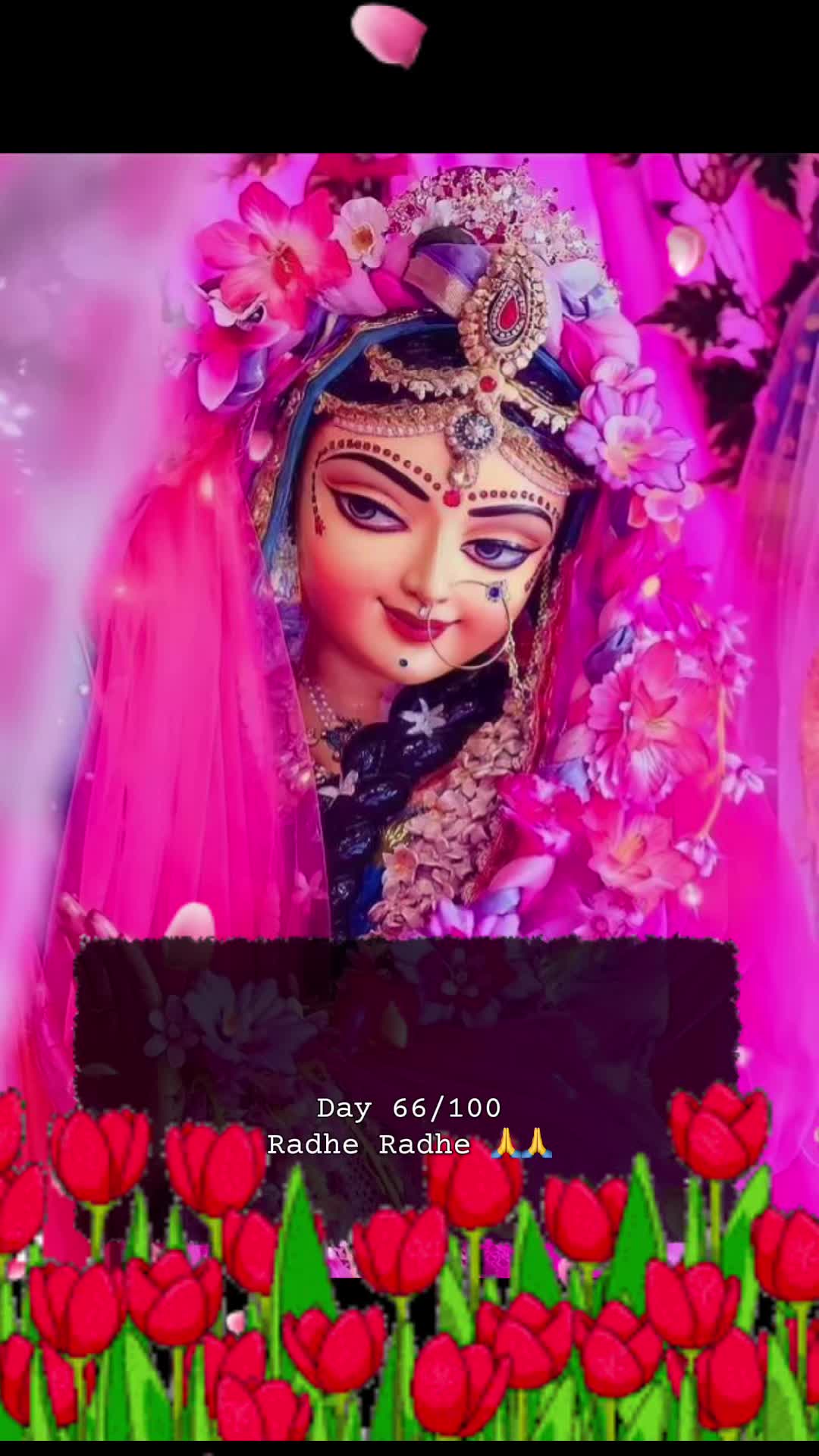 @RadheKrishna🦚🦚🙏🙏