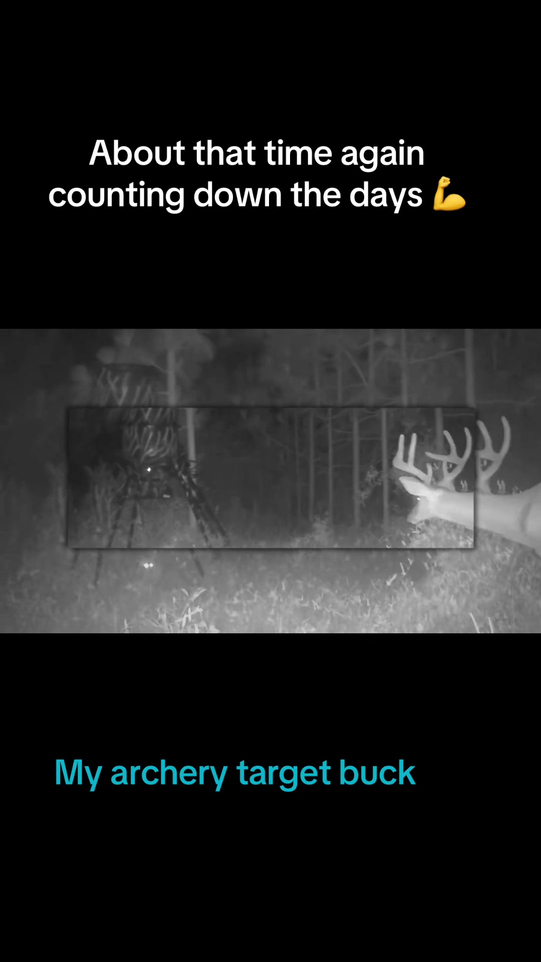 @GEORGIA STRING STALKER