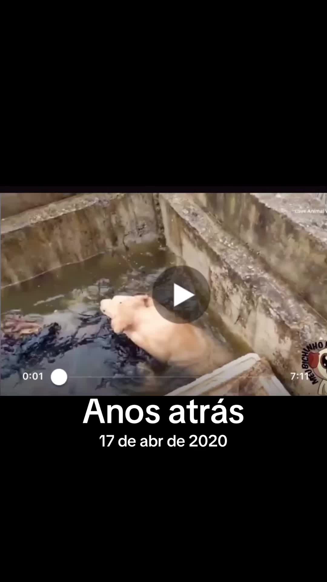 @Cidaneves. ❤???❤❤